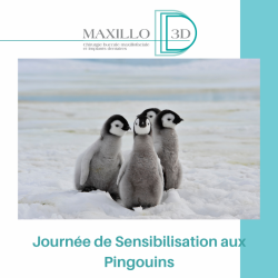 Journée de Sensibilisation aux Pingouins