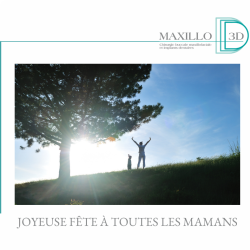 Joyeuse fête des mères