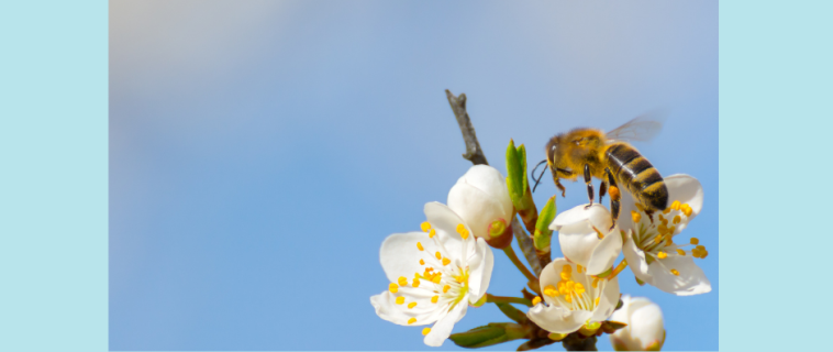 Nous prenons soin de votre santé