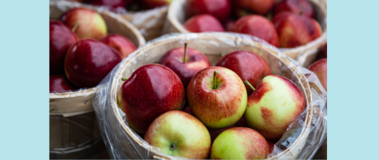 Bien choisir ses professionnels pour la rentrée