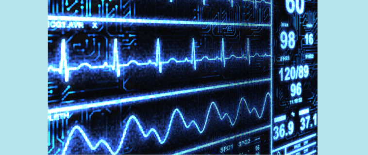 Journée de formation pour l’équipe