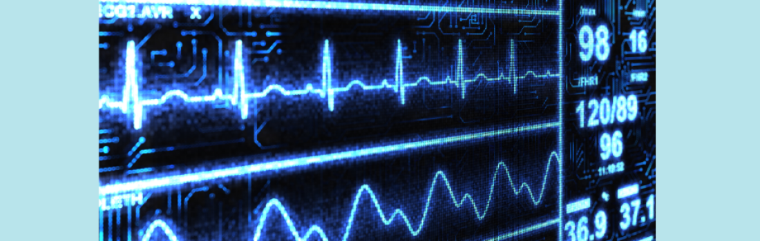 Journée de formation pour l’équipe